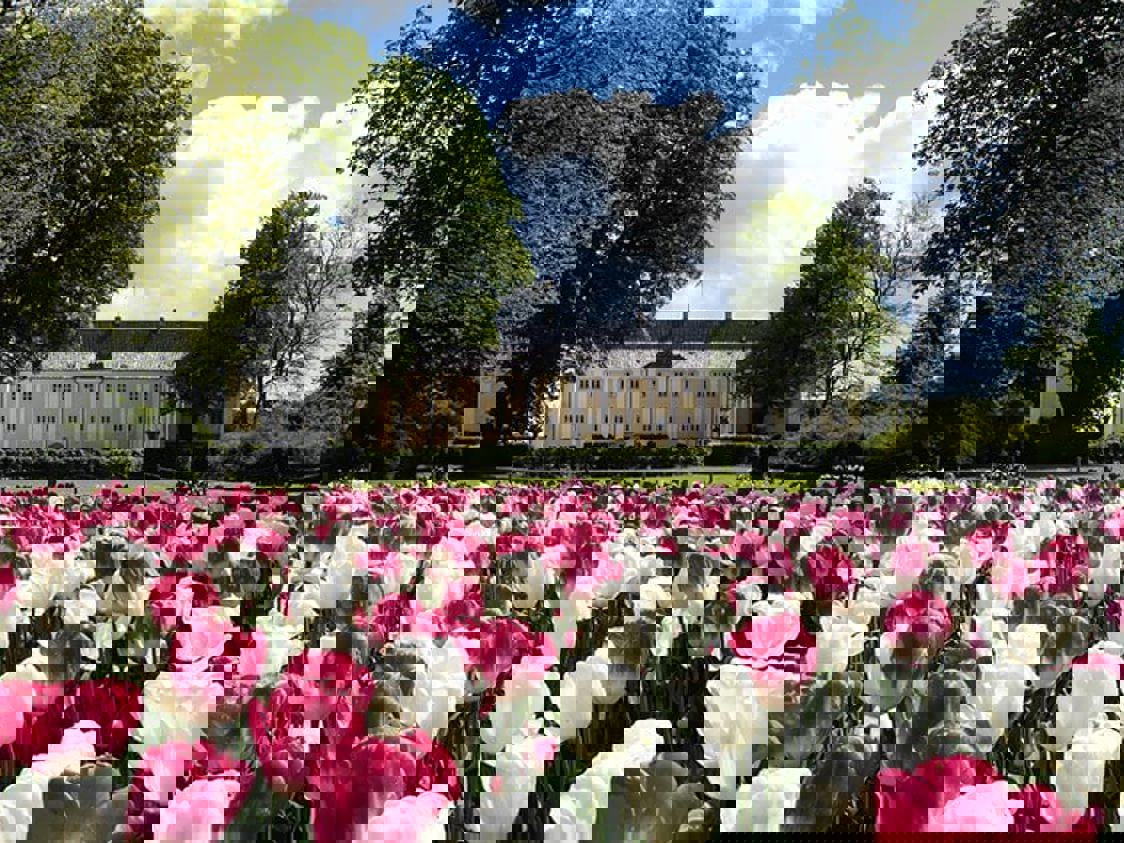 Gavnø Slot set fra luften omgivet af frodige skove og en solrig himmel og i fronten en masse tulipaner.