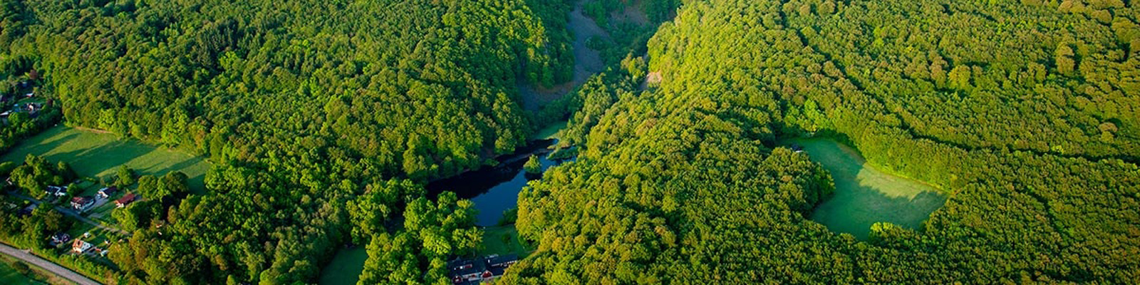 Luftfoto af tæt skovområde med grønne trætoppe og lille sø, omringet af græsarealer og få huse.