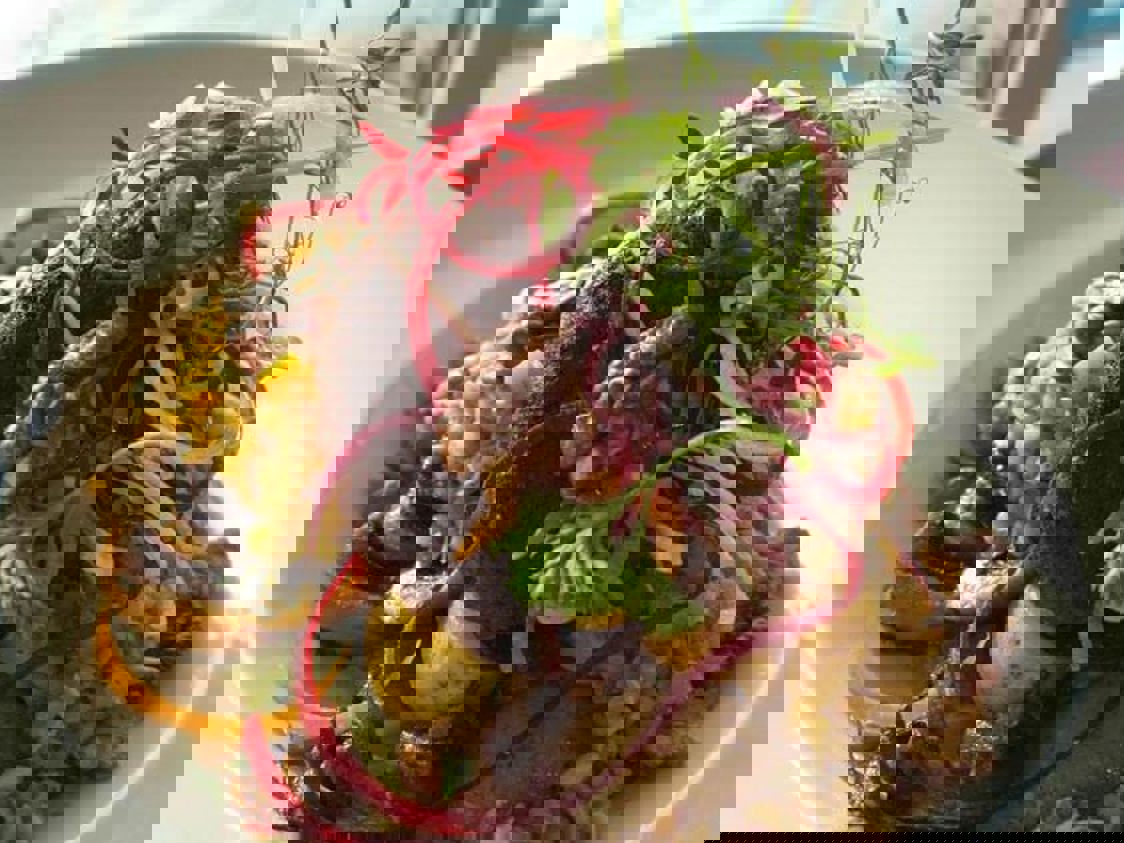 Waves Rodbetsbiff Sfw 1200X480