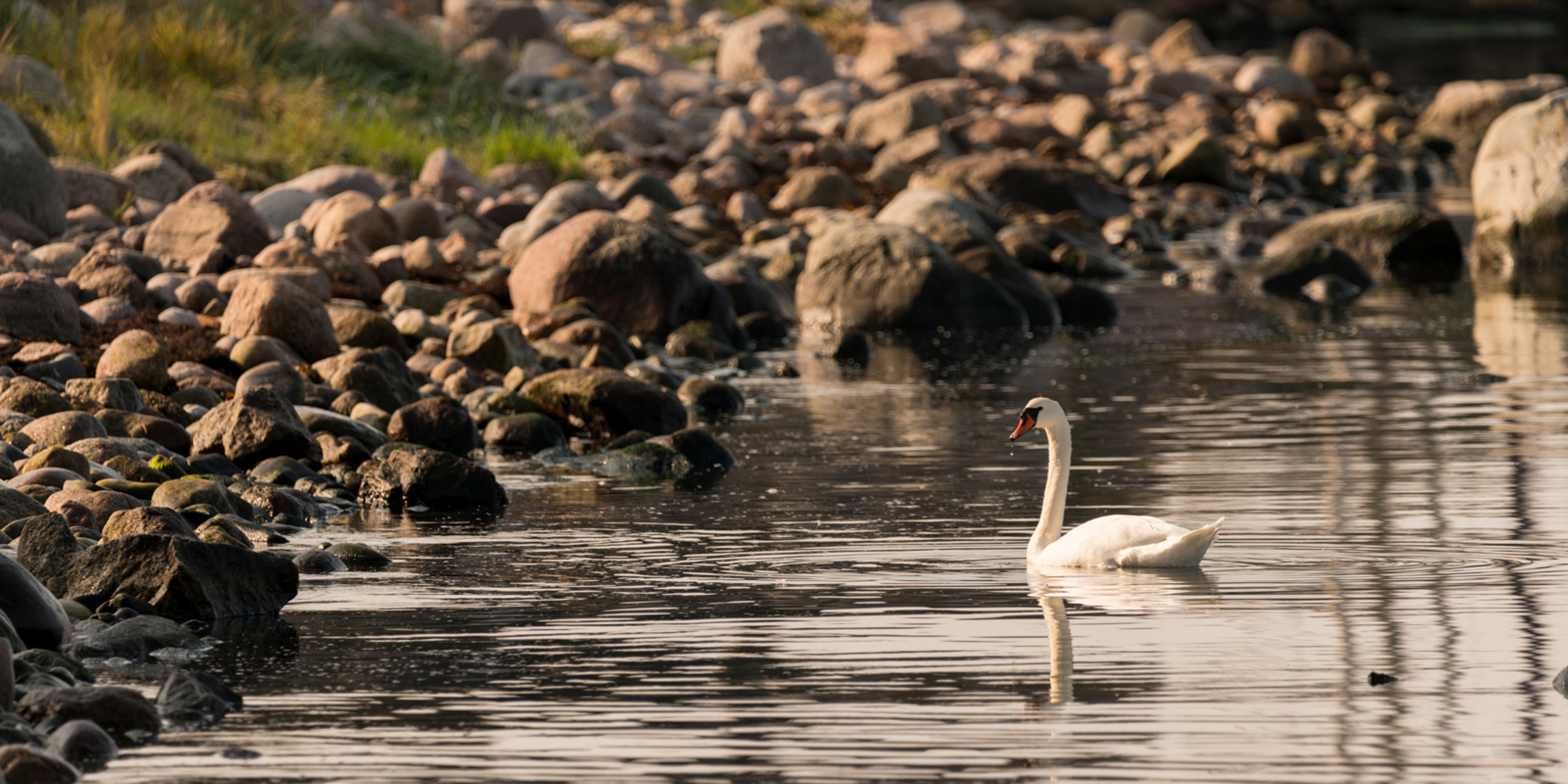 Abstrakt kunstværk med horisontale striber i lyse farver, herunder røde, orange, blå og lilla nuancer.