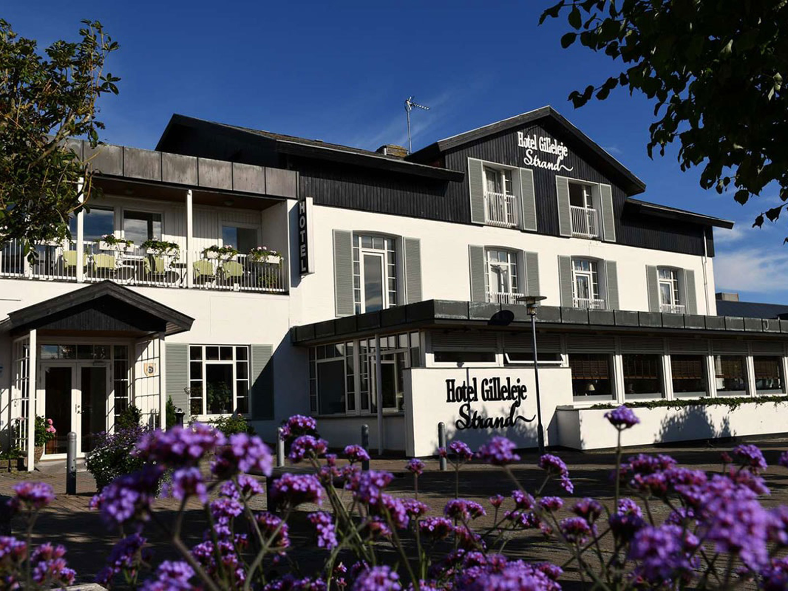 Framsidan av Hotel Gilleleje Strand med solbelysta vita väggar och balkonger med gröna växter.