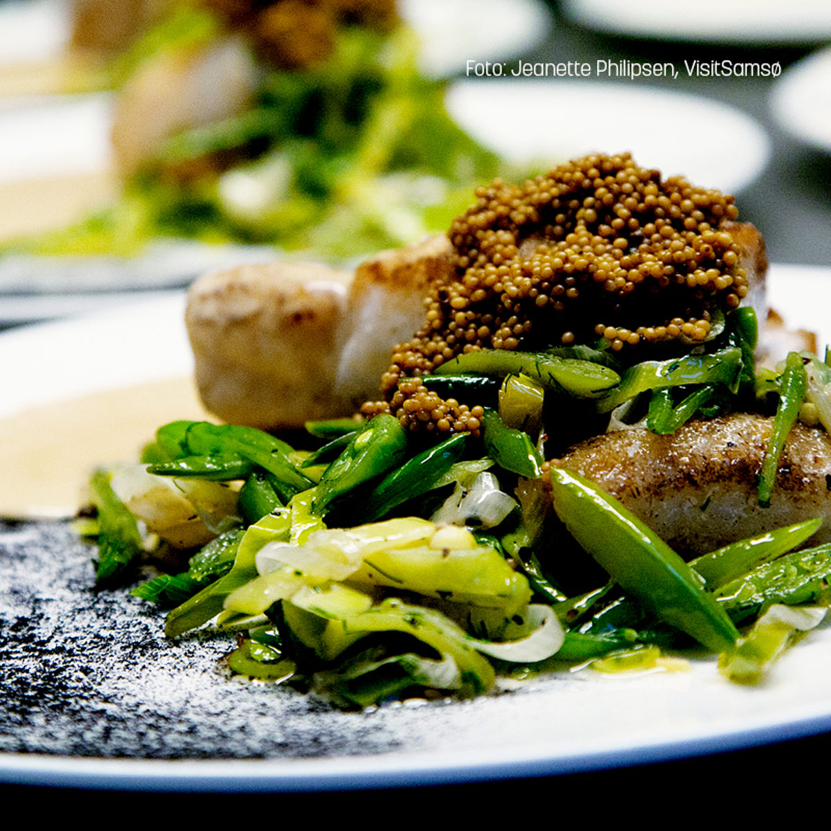 Hjemmeside600x600 Tranebjerg