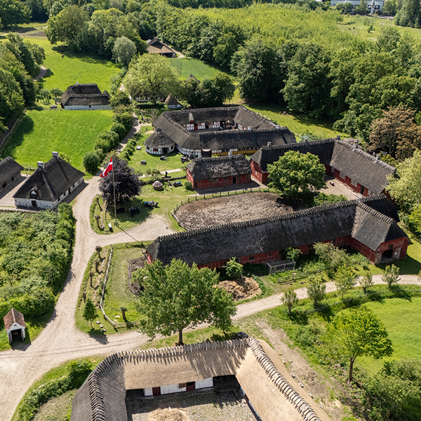 Hjemmeside 600X600 DFL1