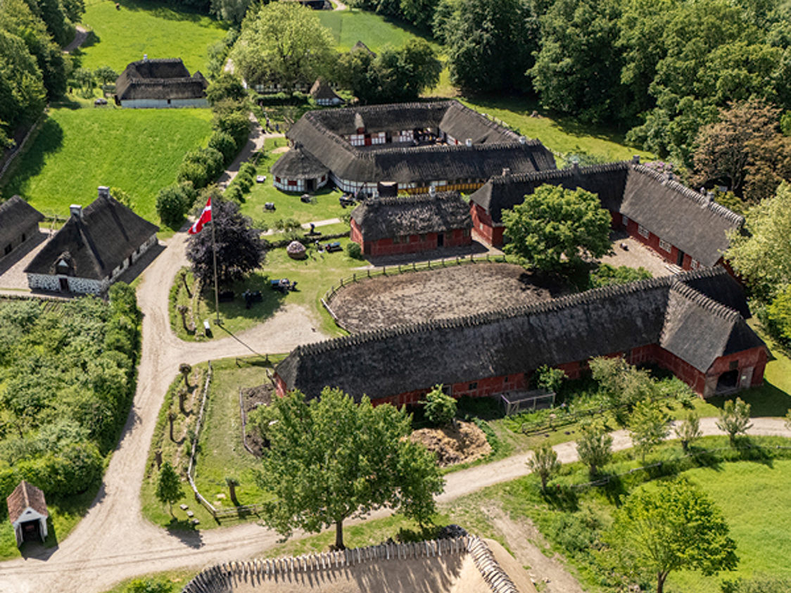 Hjemmeside 600X600 DFL1