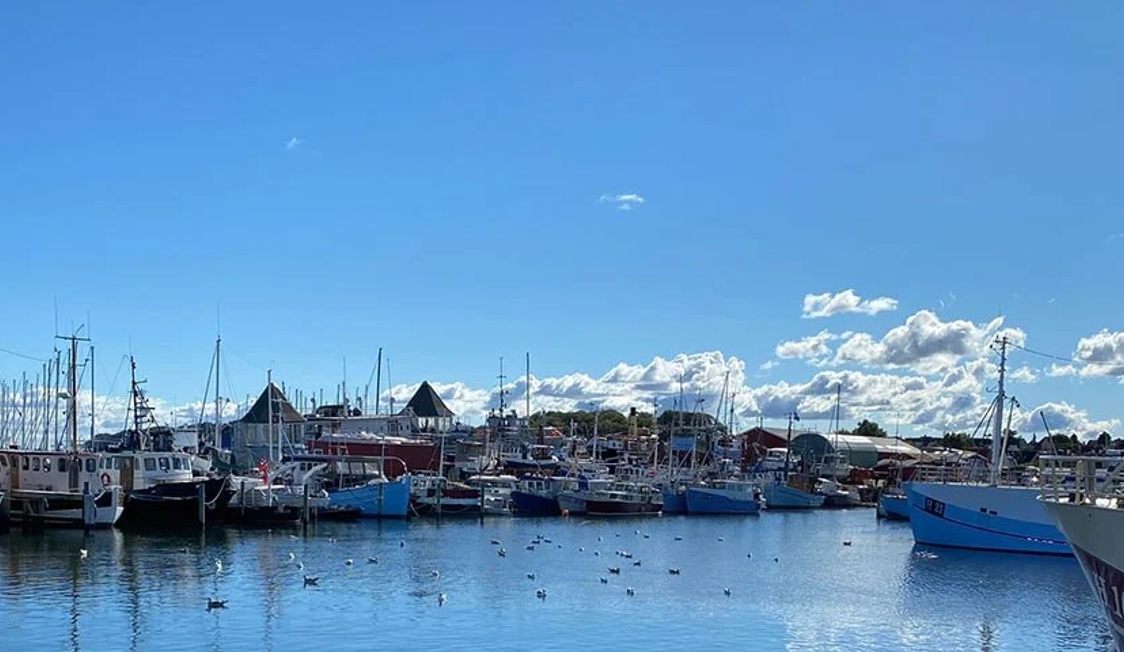 Gilleleje hamn med båtar under en klar blå himmel, fåglar flyger över det lugna vattnet i solskenet.