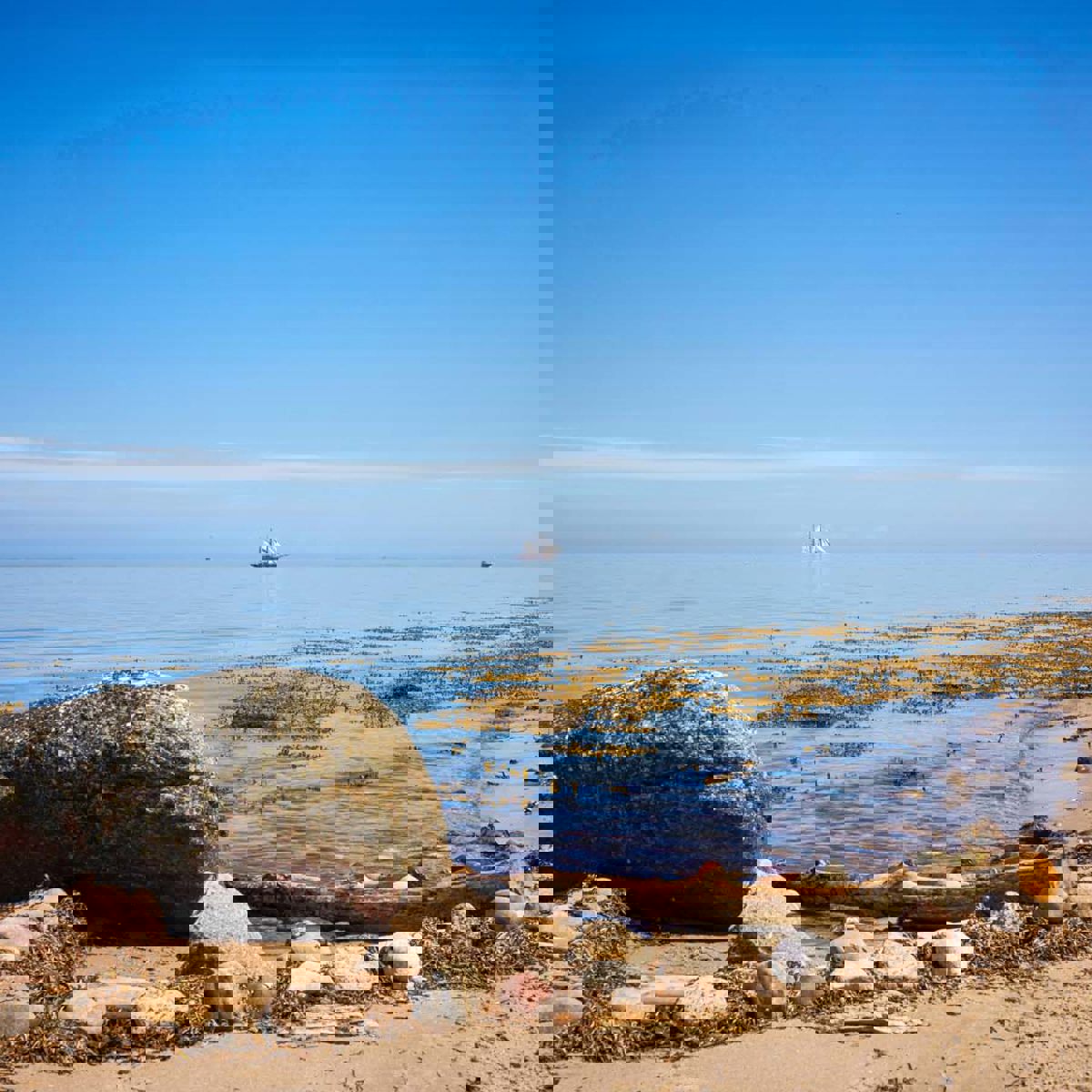 Fra Langelands strand ses et sejlskib i det fjerne ude på det blå hav med en klar blå himmel.