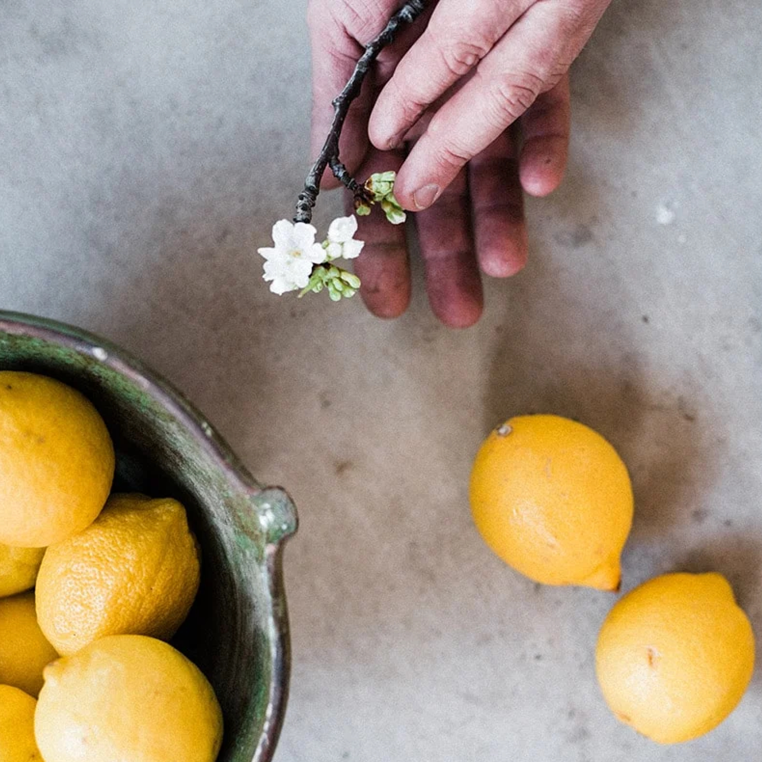 Hånd med blomstergren nær skål med friske citroner på køkkenbordet.