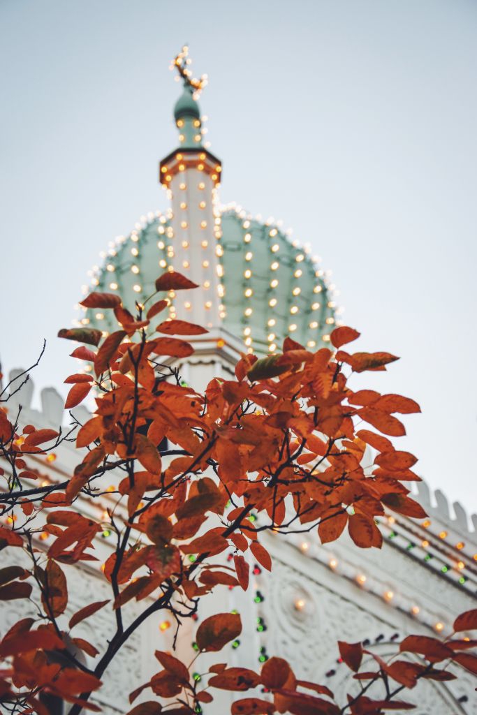 Tivoli Halloween I Tivoli 2018 29035