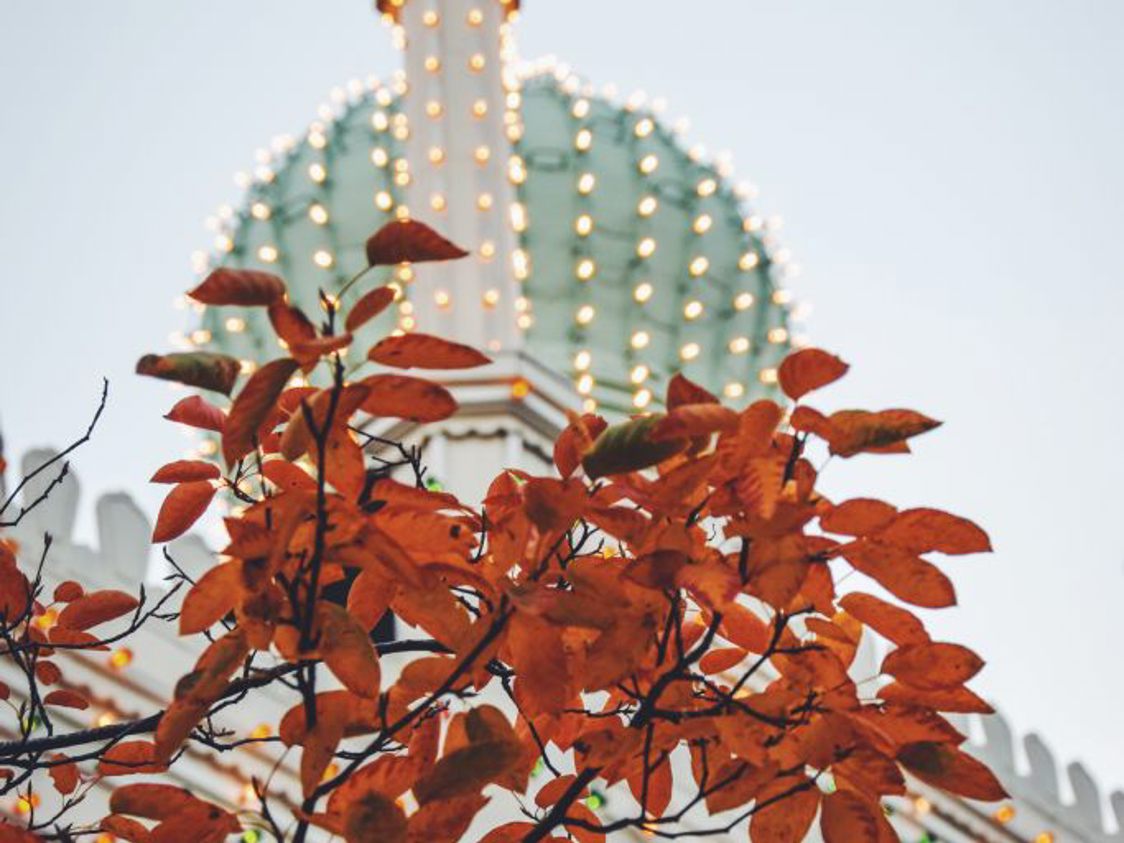 Tivoli Halloween I Tivoli 2018 29035