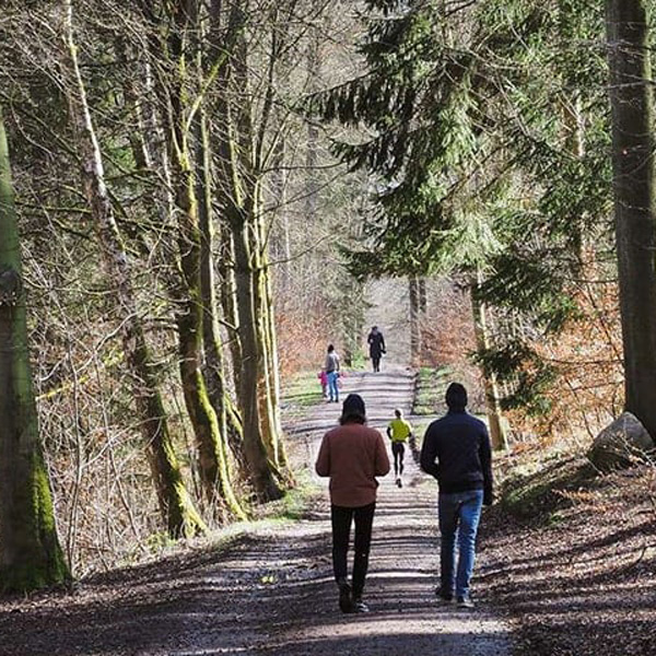Folk promenerar i Jægersborg Dyrehave, med gröna träd på båda sidor och solsken som silas genom lövverket.
