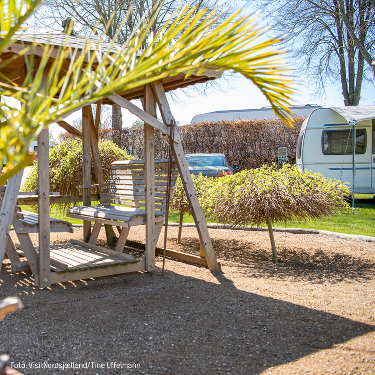 Trægynge i have med campingvogn i baggrunden, omgivet af små grønne buske og klar blå himmel i foråret.