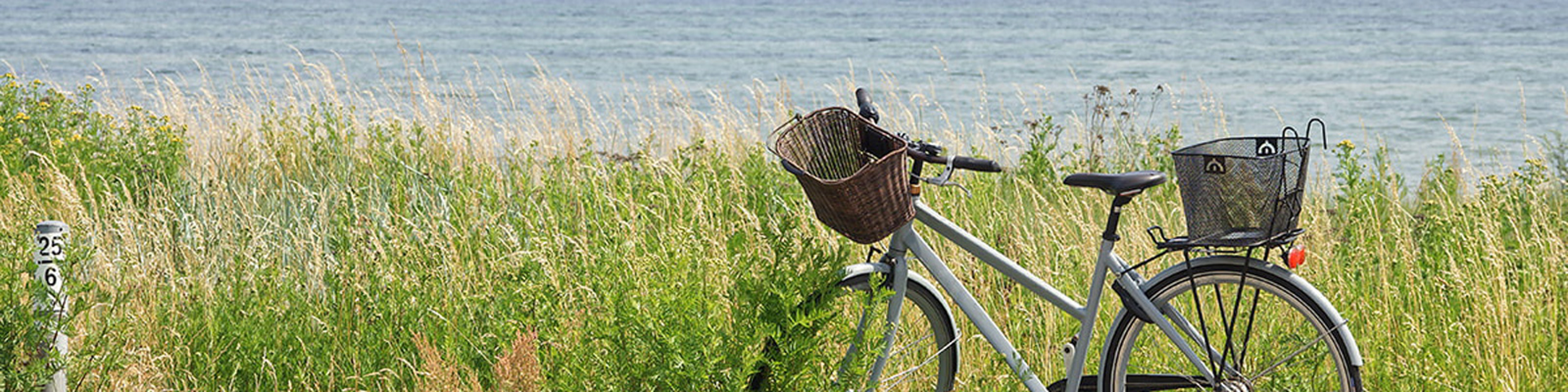 Cykel Mikkelborg i grönt gräs framför havet, med korgar fram och bak, perfekt för cykeltur längs kusten.