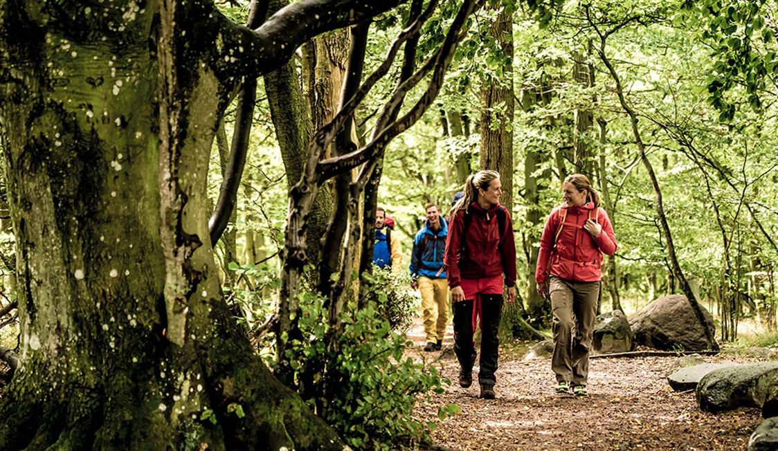 Flere vandrere iført farverige jakker går på en skovsti omgivet af frodige grønne træer og blade.