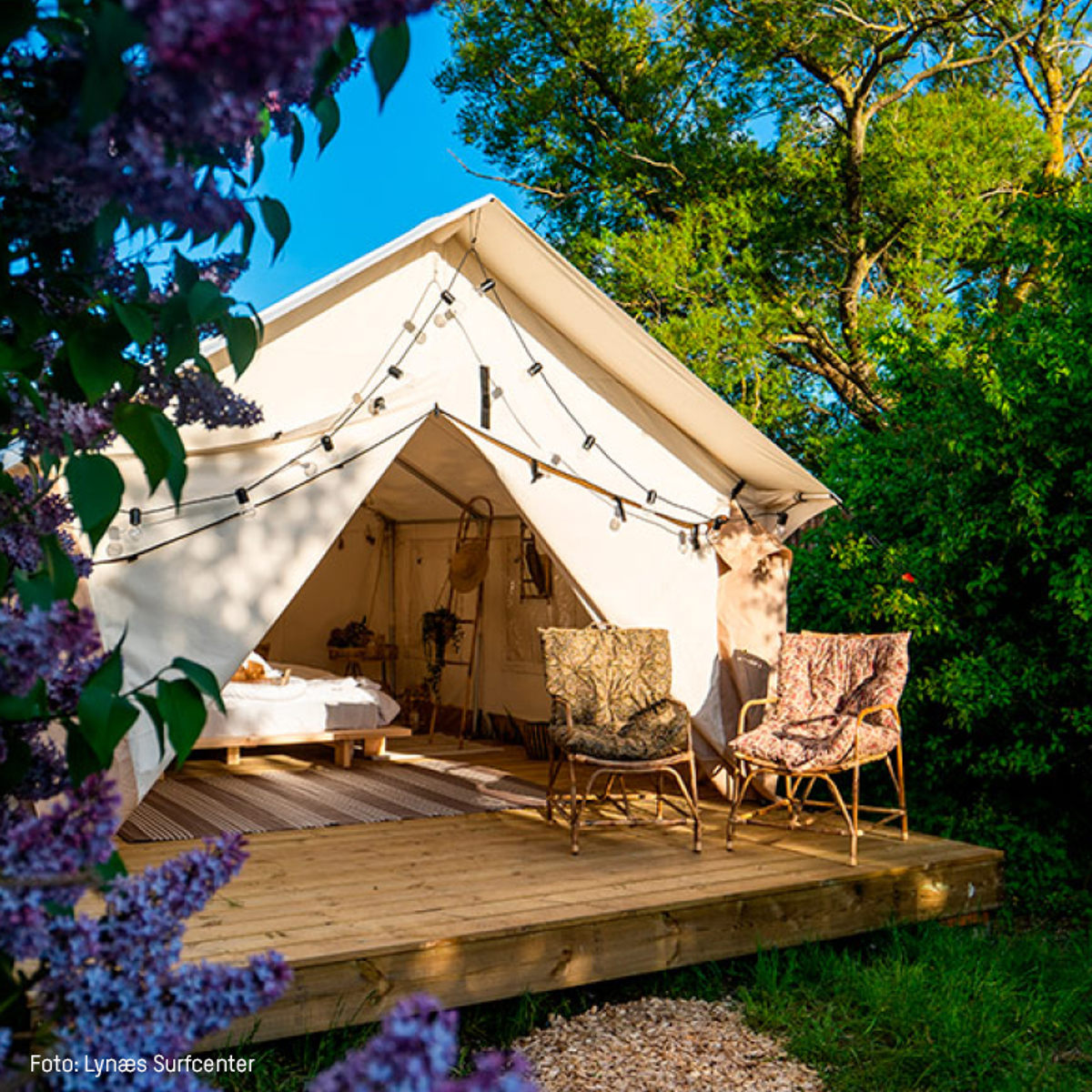 Glampingtelt med træterrasse og komfortable stole omkranset af blomstrende buske og træer i et solrigt område.