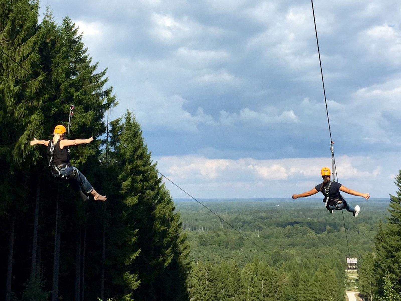To personer iført sikkerhedsudstyr svæver på en svævebane over en skov med grønne træer i baggrunden.