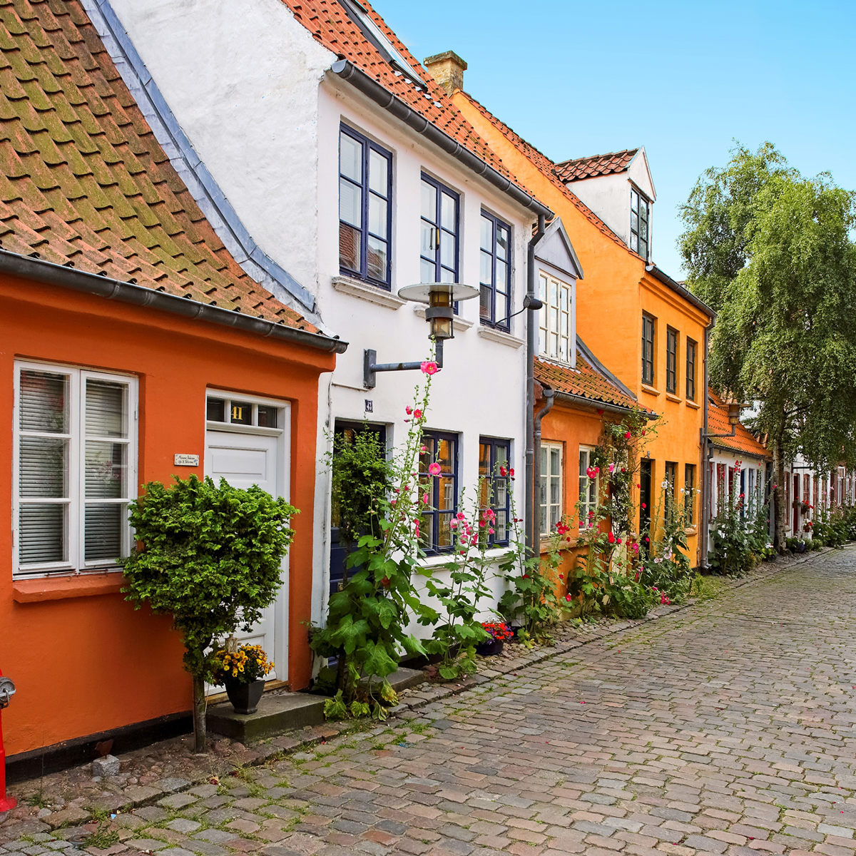 Färgglada hus längs kullerstensgata i Helsingör en solig dag med grönskande växter.