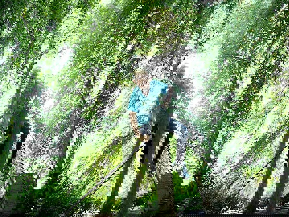 Barn ses i toppen af klatrestativ med trtoppe i baggrunden.