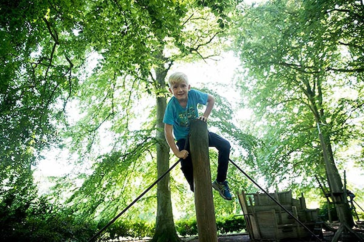 Et barn ses i toppen af et klatrestativ i skoven med sol gennem trækroner.