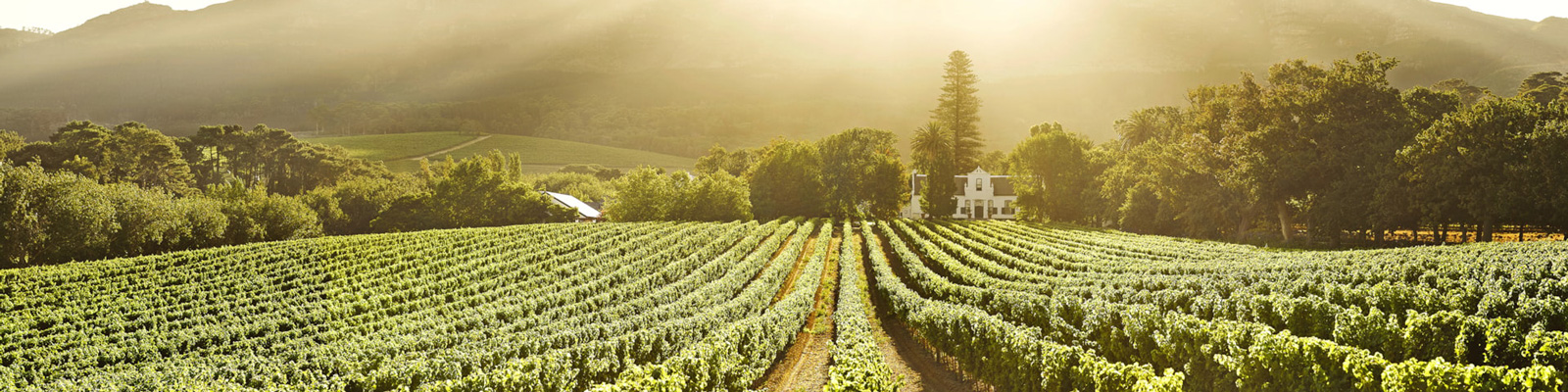 Buitenverwachting Solsken Vybild Exp1600x400