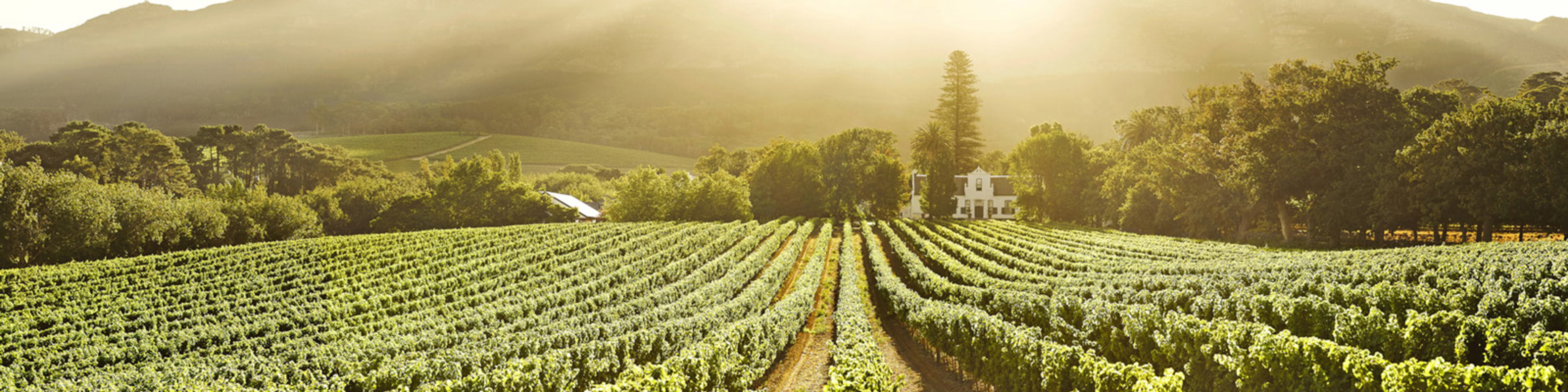 Buitenverwachting Solsken Vybild Exp1600x400