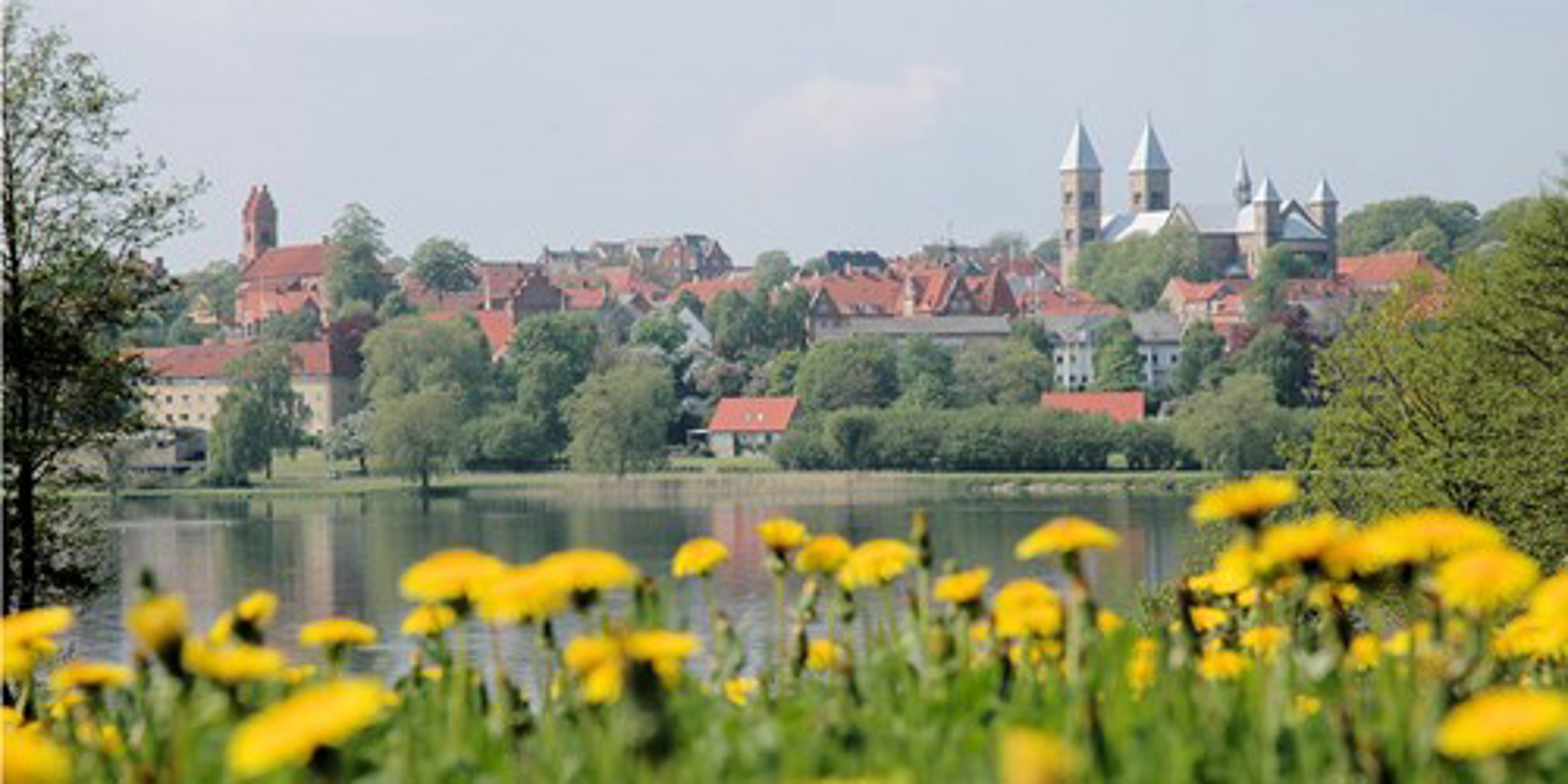 Panoramisk udsigt over grøn by med røde tage og en kirke med tårne set bag blomstrende enge og en sø.