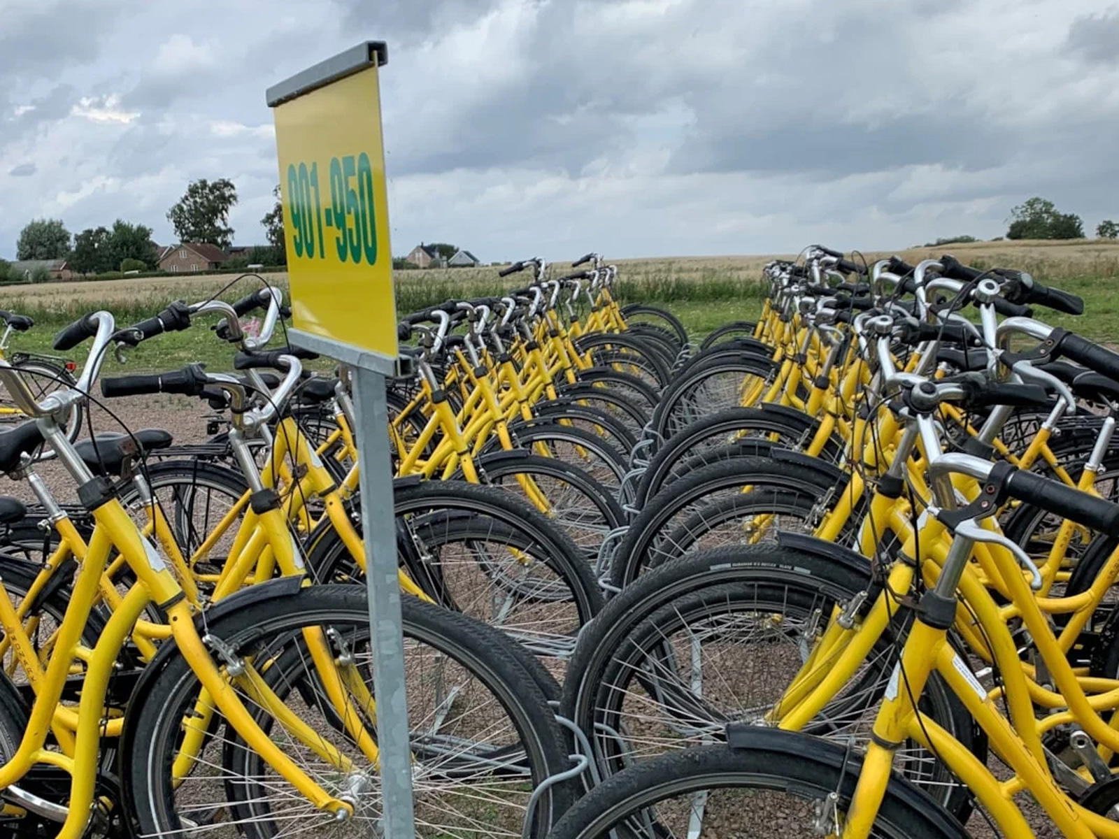 Gule cykler parkeret i række med skilt foran, der viser område 901-950, under overskyet himmel i landligt område.