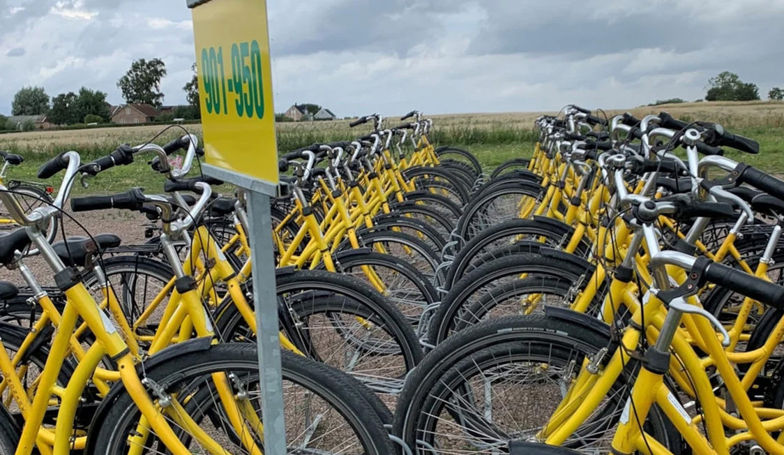 Gule cykler parkeret i række med skilt foran, der viser område 901-950, under overskyet himmel i landligt område.