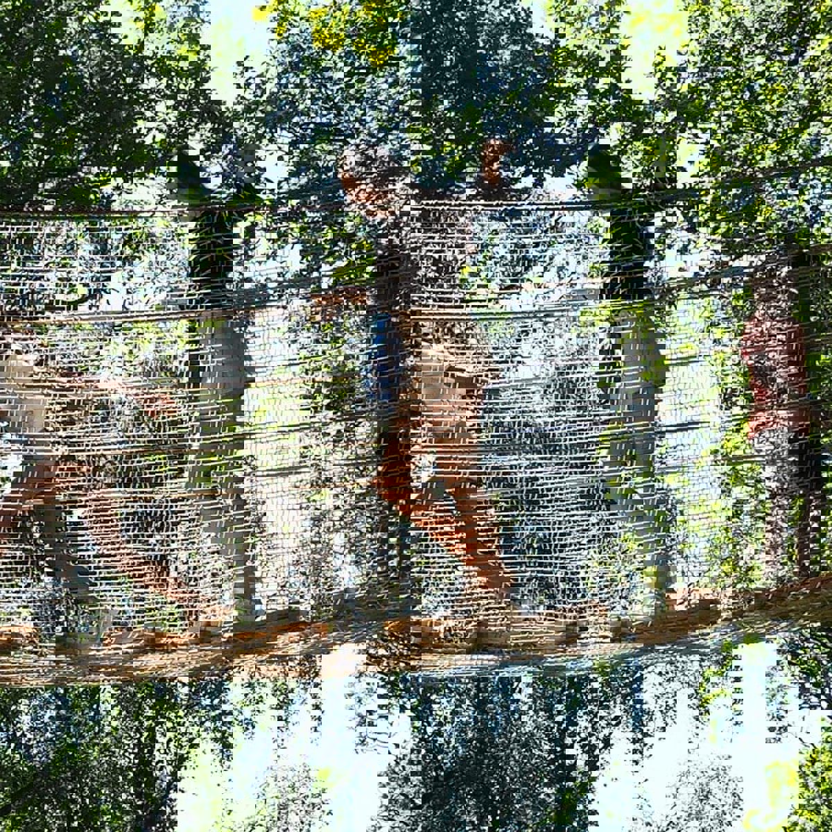 Børn på hængebro i Skånes Djurpark set fra siden i et naturskønt miljø.