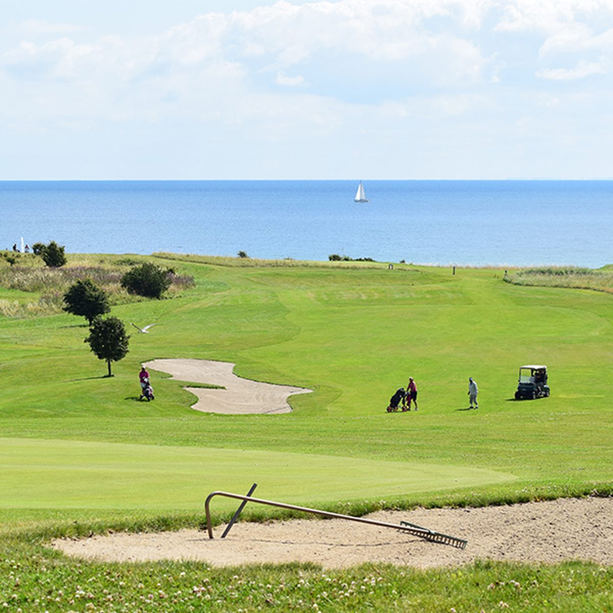 Golfspillere på grøn fairway ved sandbunker med havudsigt i baggrunden på solrig dag.