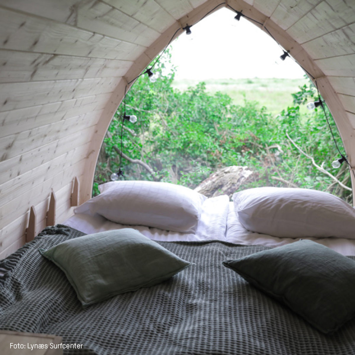 Seng med grønne puder i træhytte med udsigt til frodig natur gennem buet vindue i Lynæs Surfcenter.