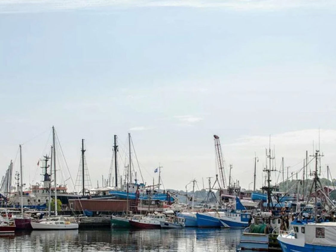 Flera fiskebåtar förtöjda vid Gilleleje hamn under klar himmel.