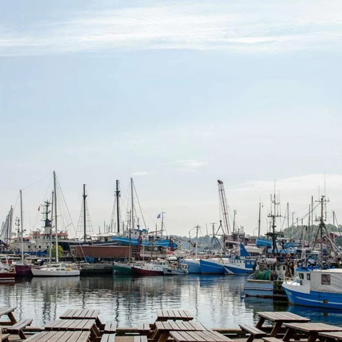 Flera fiskebåtar förtöjda vid Gilleleje hamn under klar himmel.