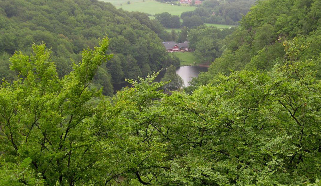 Udsigt over grøn skov med sø i bakgrunden og rødt hus blandt træerne i skovklædt landskab i Letland.