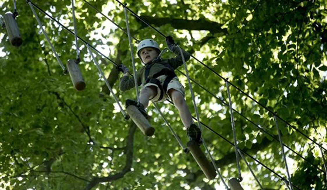 Barn klatrer i reb i højt trætopbane iført hjelm og sikkerhedsudstyr.