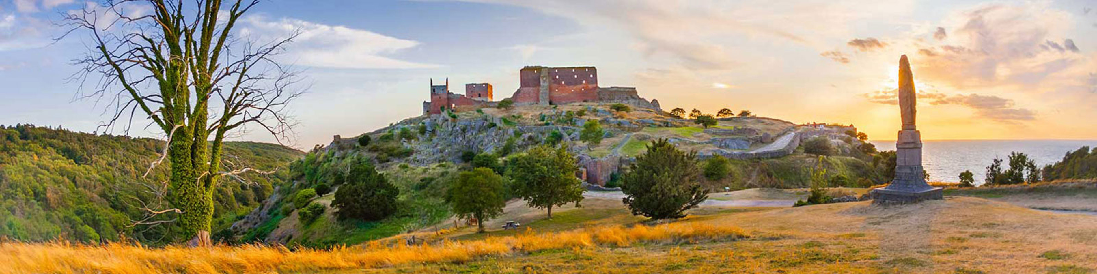 224 Borhnholmslinjen4 1600X400