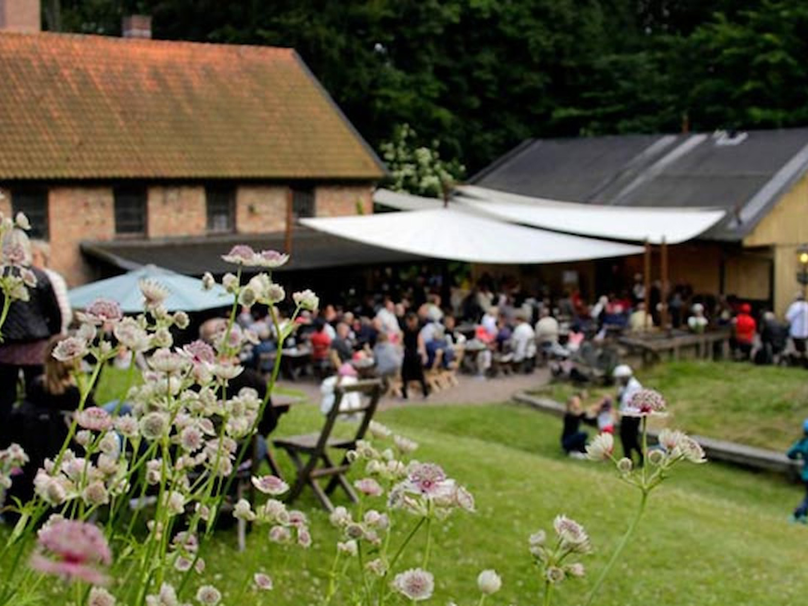 Blomster i fokus foran en traditionel dansk gård med mennesker samlet til udendørs arrangement.