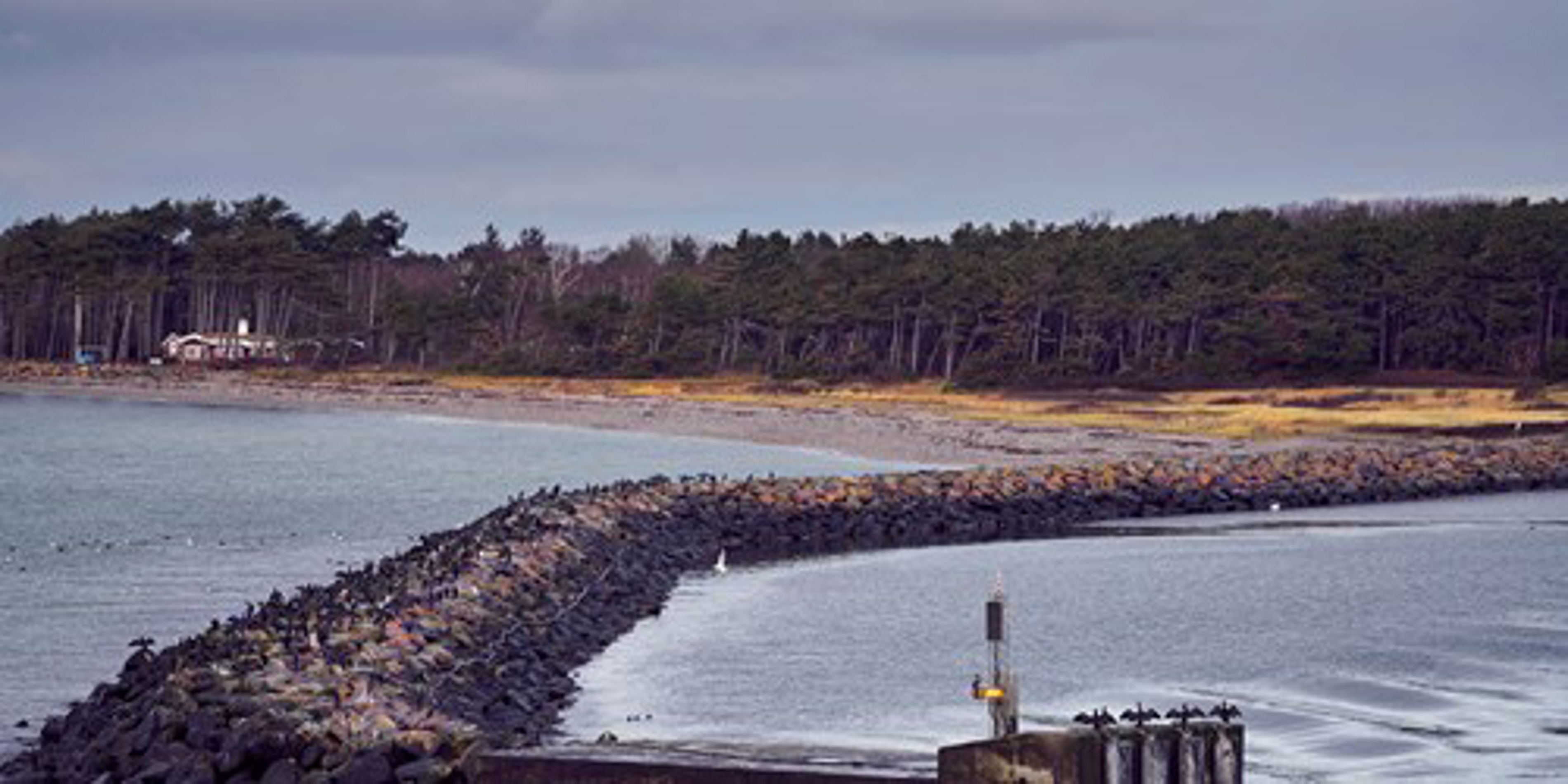 Stenbrydning langs kysten nær fredfyldt skovområde med træhytte i baggrunden og overskyet himmel.