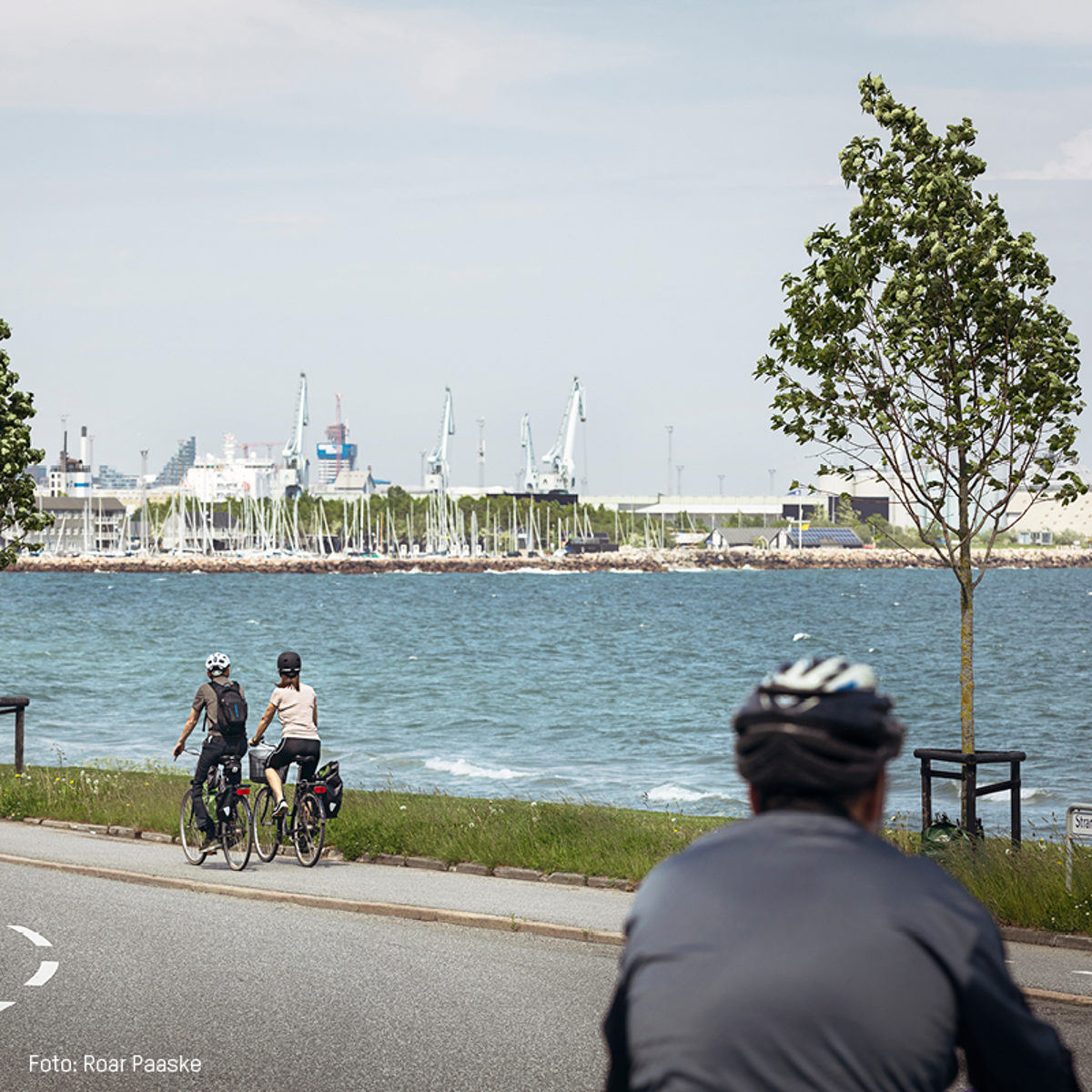 To folk på cykelsti ved kyst med udsigt til havn og skibskraner i baggrunden, fotograferet om dagen.