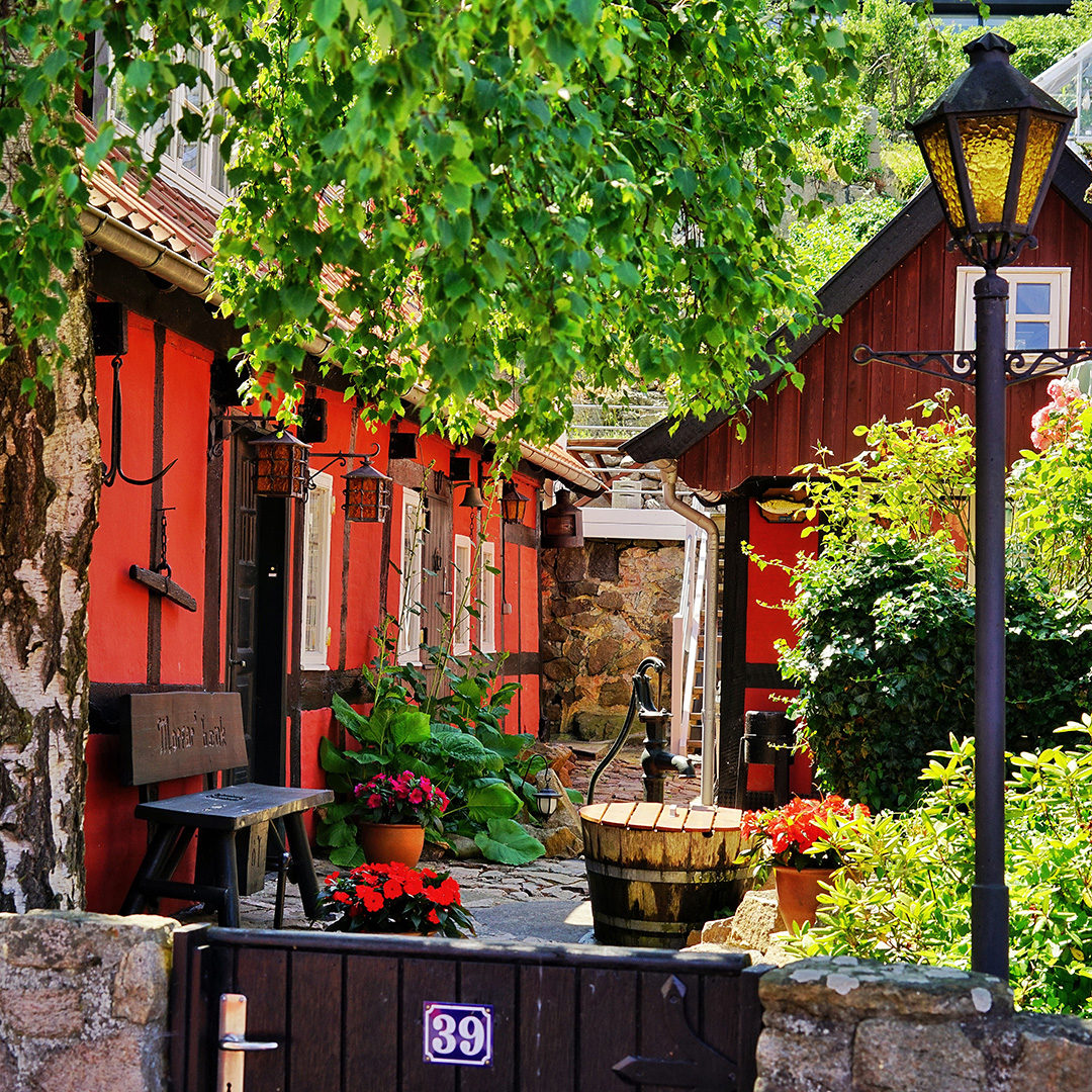 Gamle røde bindingsværkhuse ses med grønne trøer og solen, der skinner.