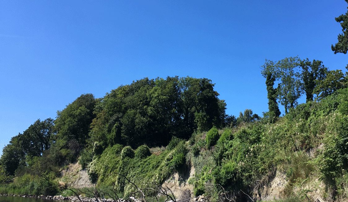 Grönskande klippor kantas av täta träd och buskar under en klarblå himmel i naturreservatet.