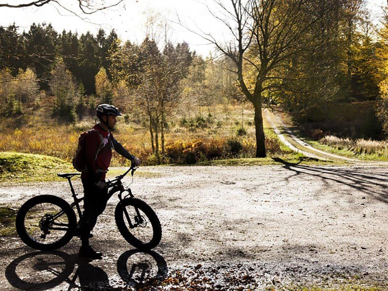 Cyklist på en mountainbike i Jägersborg Dyrehave, omgiven av höstfärger och solbelysta träd.