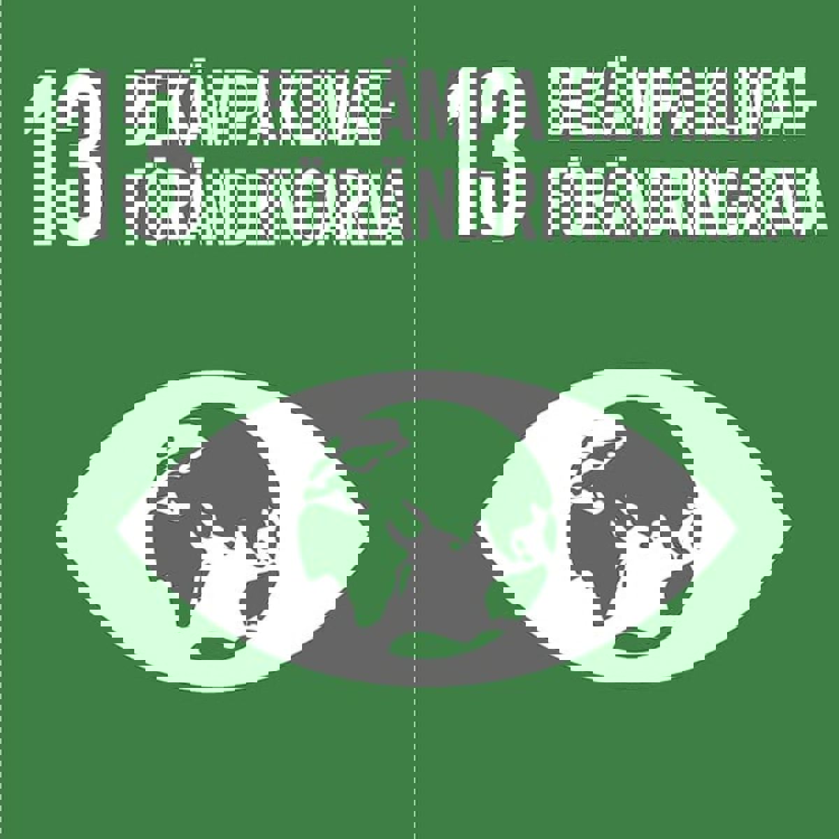 Grön bakgrund med det trettonde världsmålet och jordglob i ett öga som symbol i vitt.