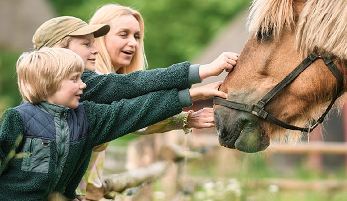 Hjemmeside 600X600 DFL2