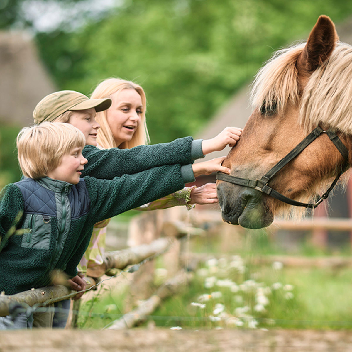 Hjemmeside 600X600 DFL2