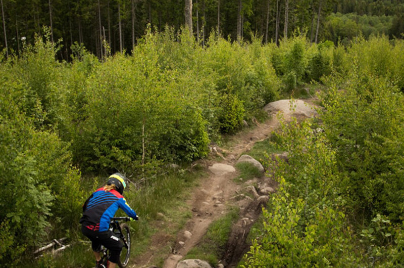 Vallasen Bike Hill Sfw 600X600