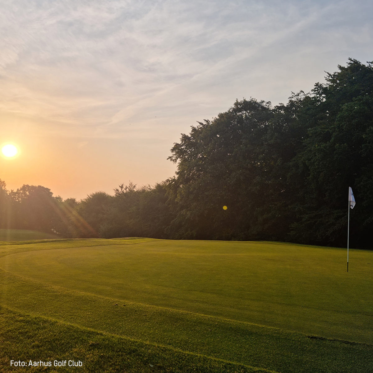 Golfbane i Aarhus Golf Club ved solnedgang, med grønne fairways og en ensom flagstang til venstre.