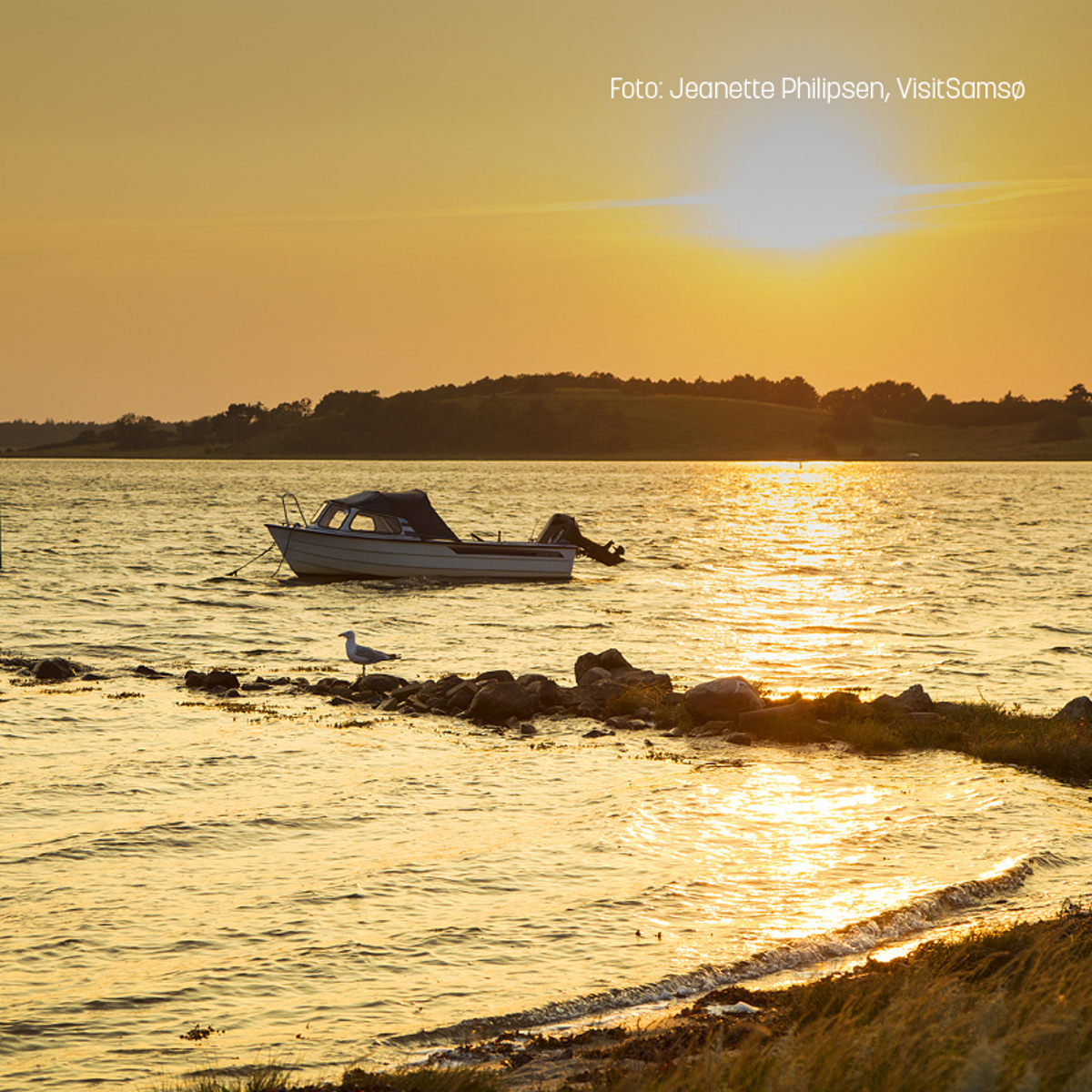 Hjemmeside 600X600 Båd (1)