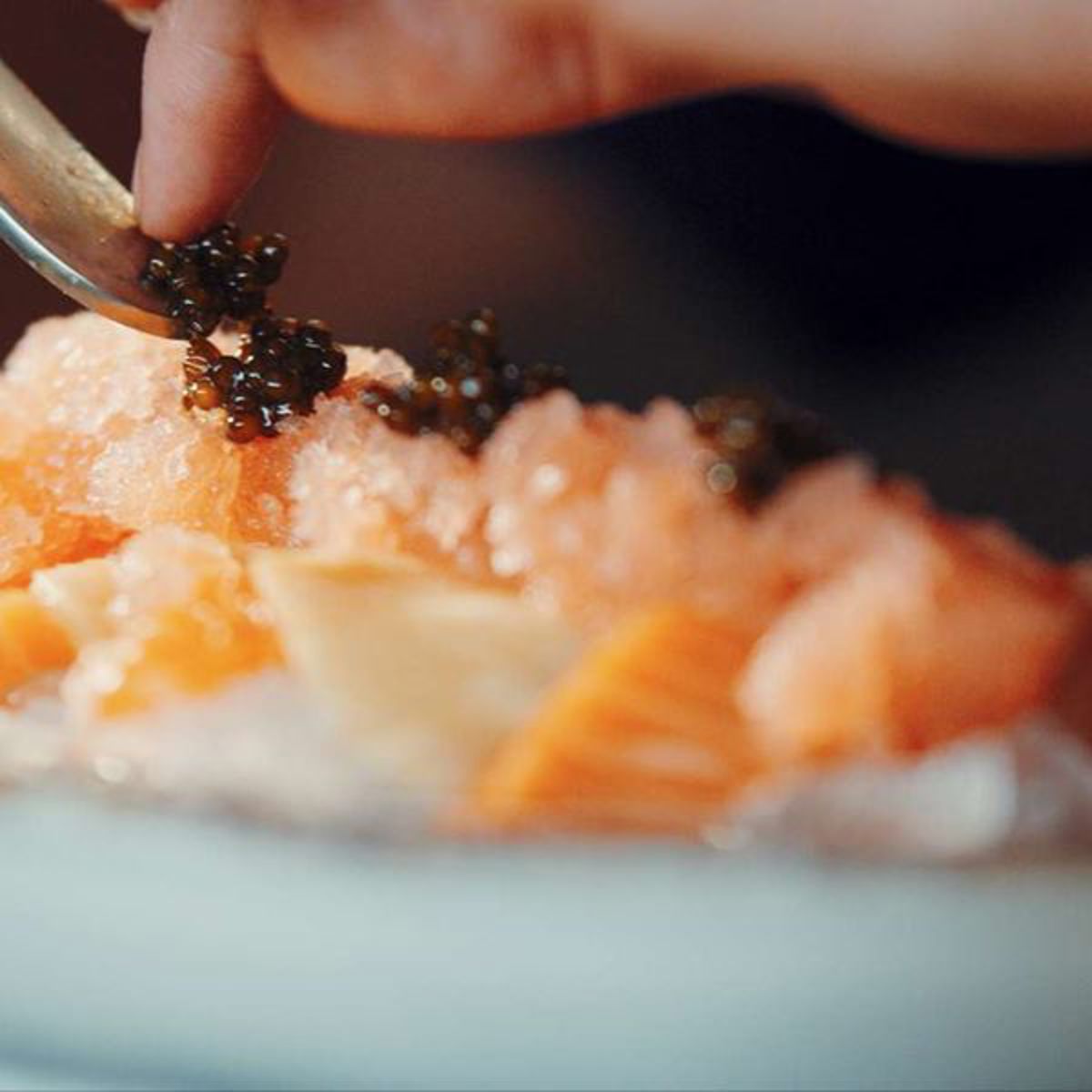 Opus 16 9 20S00 00 08 13Still005 Light 1600Px