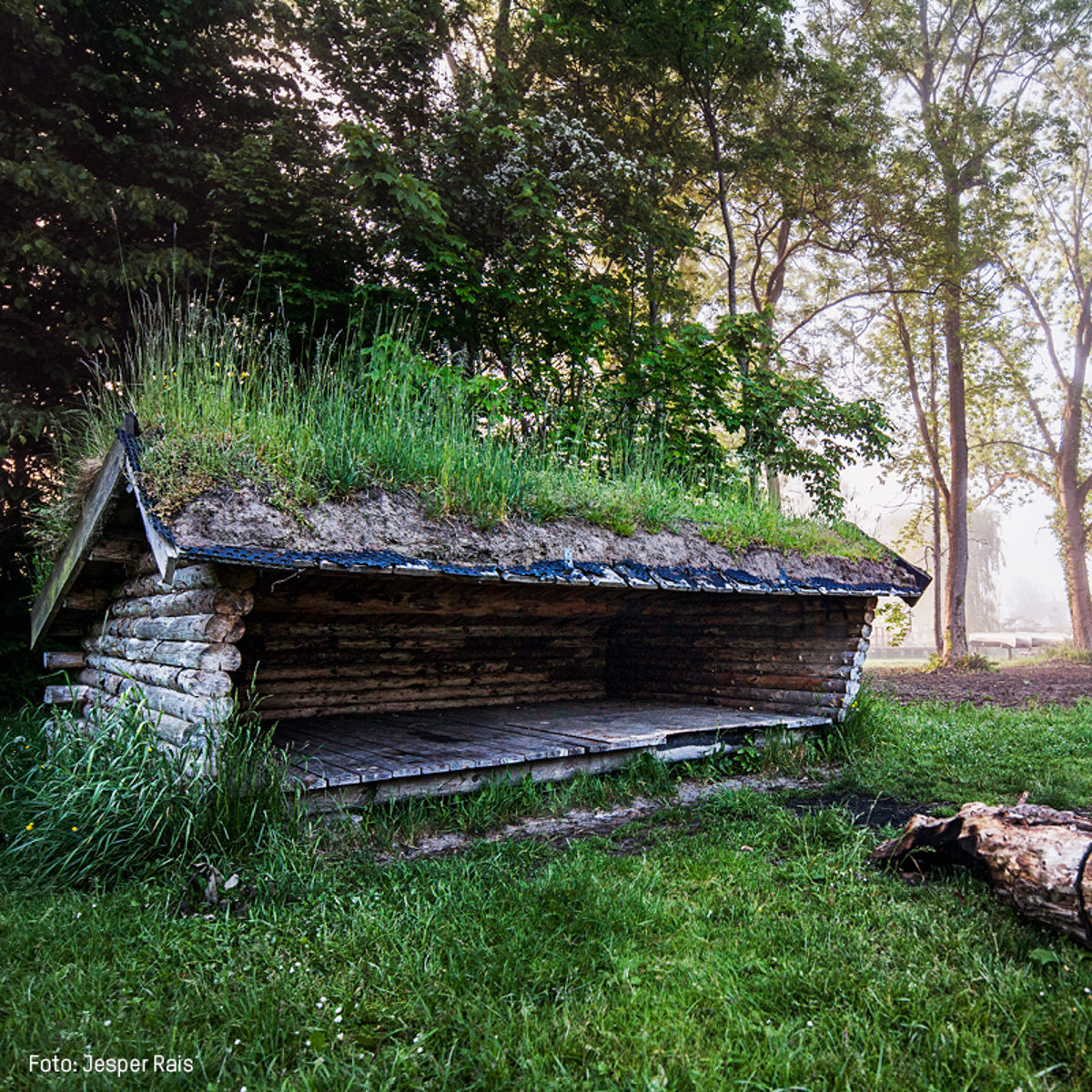 Træshelter med græsbeklædt tag i en frodig skovlysning om morgenen, set fra siden.