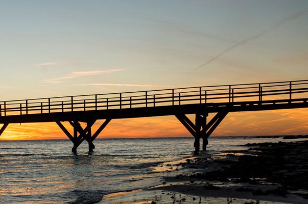 Dsc1568 Kvadratisk Skaleret